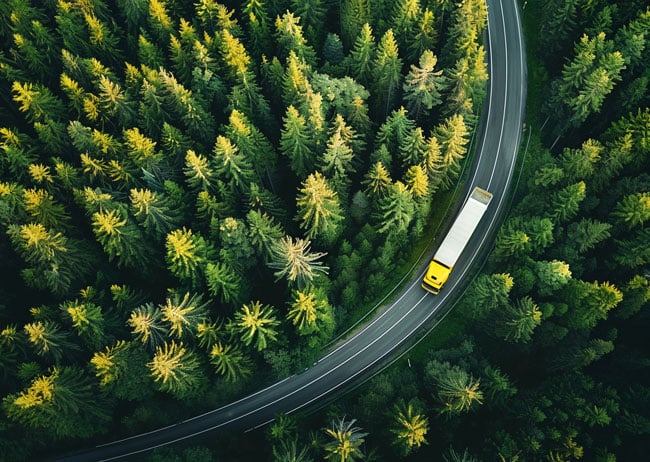 truck-in-forest-road