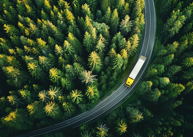 truck-in-forest-road